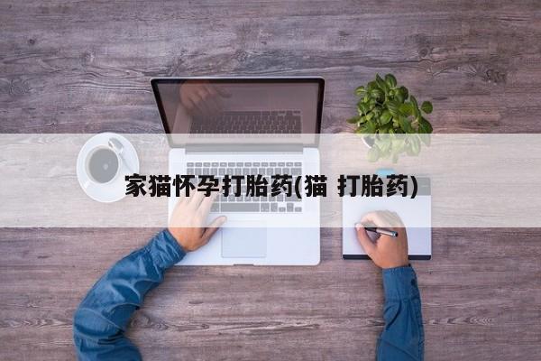 打胎药专卖打胎药专门卖店微信家猫怀孕打胎药(猫 打胎药)