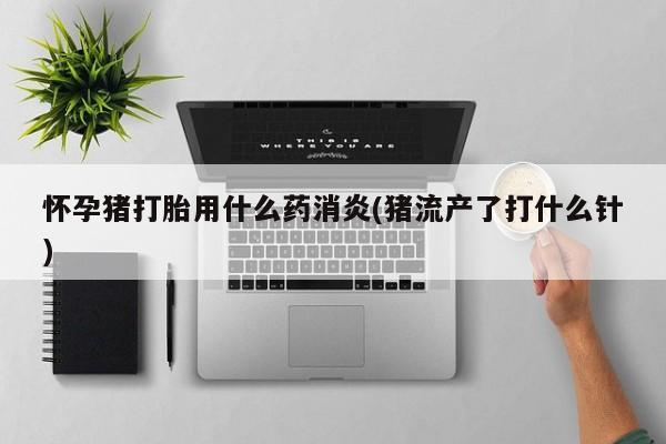 打胎药专卖打胎药专门卖店微信怀孕猪打胎用什么药消炎(猪流产了打什么针)